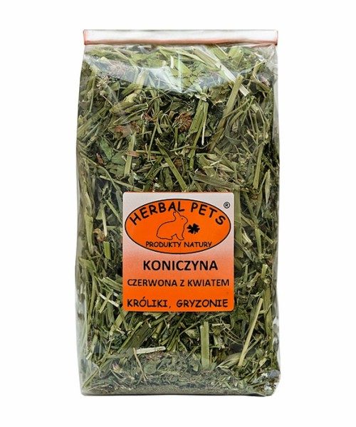 koniczyna czerwona z kwiatem dla królików