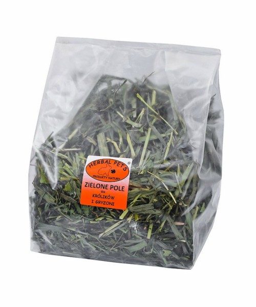 zielone pole królik